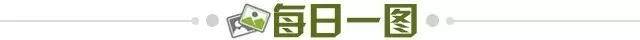 d0bf1ccc-d95f-4ad4-9bd9-173f64ef0d1b.jpg@!img01